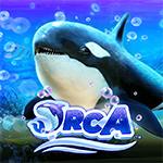 Orca